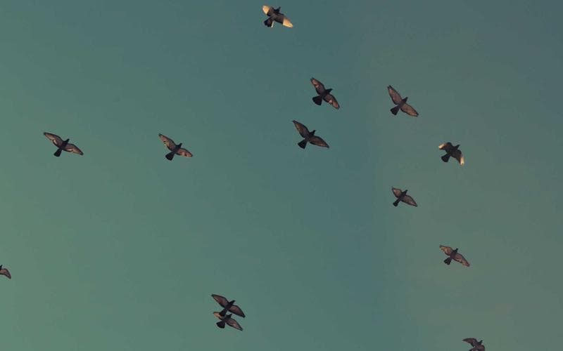 Tóm tắt: Naheyan & Oyibo (2024) — Dark Patterns and User Knowledge