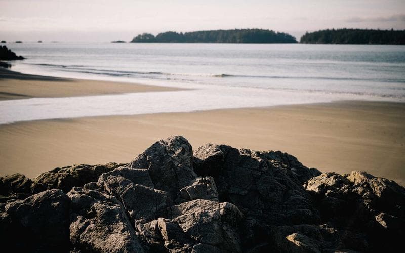 Tóm tắt: Eco-Anxiety, Digital Distraction, and Academic Performance — Saeed, 2025